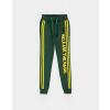 Avengers Marvel - Hulk Boys Jogging Pants Velikost: 122/128, Barva: Multicolor