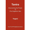 Tantra - Discovering the Power of Pre-Orgasmic Sex: (AYP Enlightenment Series)