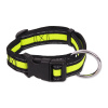 Obojok DOG FANTASY Neoprene limetka M
