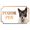 Karelský medvedí pes - Kovová tabuľka POZOR PES