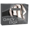 Orion Grey Box