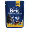 Brit Premium Cat kapsa with Chicken & Turkey 100g