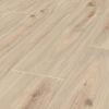 SolidStep LIVING Dub Familiar ST10 2,22 m²