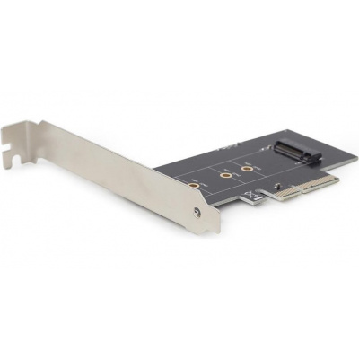 DIGITUS Carte Add-On M.2 NGFF/NVMe SSD PCI Express 3.0 (x4)