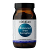 Viridian Balanced Iron Complex 90 kapsúl