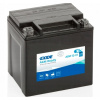 Exide AGM12-31