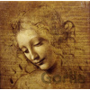 Grafika Leonardo da Vinci The Face of Giovane Fanciulla1508 1000 dielov