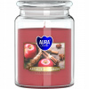 Bispol Aura Maxi Apple Cinnamon 500 g