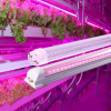LEDMEGROW Súprava lineárnych žiariviek 4 × 10 W na priesady a prisvetlenie