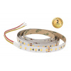 Greenlux LED STRIP DUAL 120LED/12W/m IP20 WW/CW 5m 1300lm - LED pásik GXLS338v2