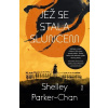 Jež se stala sluncem - Shelley Parker-Chan