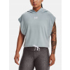Under Armour UA Rival Terry SS Hoodie 1376997-465