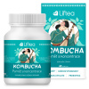LIFTEA Kombucha - Paměť a koncentrace 60 tobolek