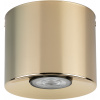 TK Lighting Orion stropné svietidlo 1x10 W zlatá 10128