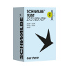 SCHWALBE Duša AV19 (40/62-584/635) 27.5/29x1.60–2.45 AV 40mm 220g