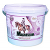 Orling Magnesiumpony 3000 g
