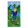 DETEXPOL Osuška Kocky Level Up 70/140 cm