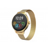 CARNEO Hero mini HR+/Gold/Elegant Band/Gold