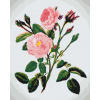Vymalujsisam.sk Maľovanie podľa čísiel - Divoké ružové ruže Veľkosť: 40x50cm, Rám: Bez rámu, iba zrolované plátno