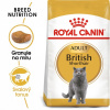 Royal Canin British Shorthair Adult 2 kg