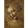 Puzzle 1000 La Scapigliata, Leonardo da Vinci, 1508