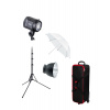 FOMEI LED 100BS umbrella kit (FY4471)