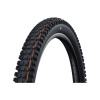 SCHWALBE plášť - ALBERT GRAVITY PRO 29x2.50 EVOLUTION 67EPI - čierna