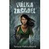 Válka zrcadel