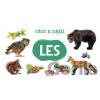 Otoč a nájdi: Les - INFOA