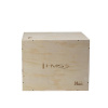 Plyo Box DSC01 HMS
