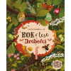 Rok v lese: Drobečci - Emilia Dziubak, Emilia Dziubak (ilustrátor)