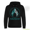 Aquaman Hoodie Distressed Shield