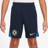 Nike Chelsea FC Strike Training Shorts Childrens Black 13 rokov