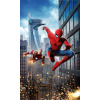 CUKROVÁ TLAČ jedlý obrázok na tortu Cukrová hmota Spiderman Iron Man Spider-Man