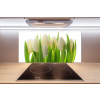 Sklenený panel do kuchynskej linky Tulipány 100x50 cm