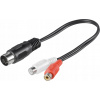 Goobay AVK 102-020 0,2m 0,2 m 5-pin DIN na 2 x RCA Čierny