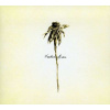 Patrick Watson, WOODEN ARMS, CD