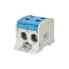 HORA ETEC Svorka RKA185 1/4 1pólová 95-185mm modrá