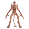 Syndicate Collectibles Figúrka Pumpkinhead 23 cm