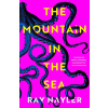 Mountain in the Sea
