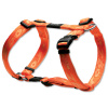 ROGZ POSTROJ ALPINIST ORANŽOVÝ 2 X 29-64CM.