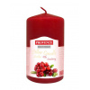 Vonná sviečka PROVENCE 11cm brusnica