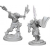 Dungeons & Dragons Nolzur's Marvelous Miniatures - Dragonborn Female Fighter 2-pack, 4 cm