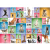 EUROGRAPHICS Puzzle Psie joga 1000 dielikov EUROGRAPHICS Puzzle Psie joga 1000 dielikov