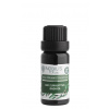 Nobilis Tilia Éterický olej bio Eukalyptus radiata 5 ml