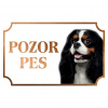 Kavalier King Charles španiel - Kovová tabuľka POZOR PES
