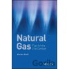 Natural Gas: Fuel for the 21st Century - Václav Smil