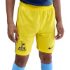 Šortky Nike Dri-FIT Tottenham Hotspur Stadium 3rd Short 2025/26 Kids hm4133-740 Veľkosť XS (122-128 cm)