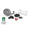 MALOSSI VARIATOR MULTIVAR MALOSSI 517075