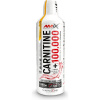 AMIX Carnitine 100000, 1000 ml Mango/kokos